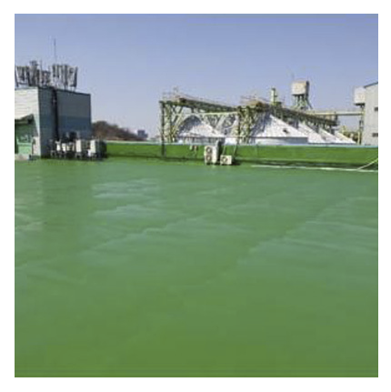 t2mm, 주차장/옥상